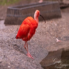 dsc_2895-3-standard.jpg