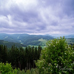 dsc_3492-3-standard.jpg