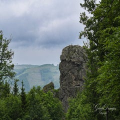 dsc_3524-3-standard.jpg