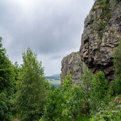 dsc_3532-3-standard.jpg