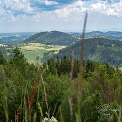 dsc_3610-3-standard.jpg