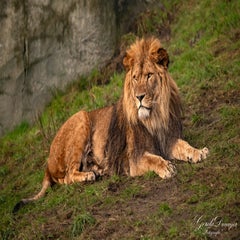dsc_3690-3-standard.jpg