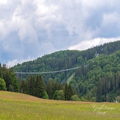 dsc_3700-3-standard.jpg