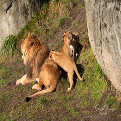 dsc_3817-3-standard.jpg