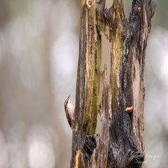 dsc_3866-3-standard.jpg