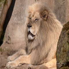 dsc_4007-3-standard.jpg