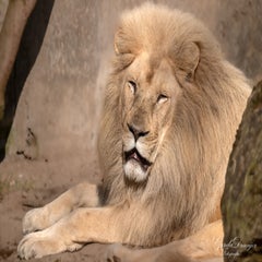 dsc_4016-3-standard.jpg
