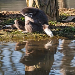 dsc_4032-3-standard.jpg