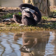 dsc_4034-3-standard.jpg