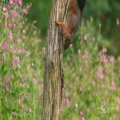 dsc_4066-3-standard.jpg