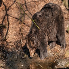 dsc_4069-3-standard.jpg