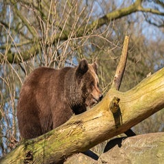dsc_4090-3-standard.jpg