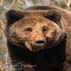 dsc_4106-3-standard.jpg
