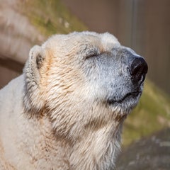 dsc_4184-2-standard.jpg