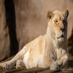 dsc_4332-3-standard.jpg