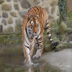dsc_4416-3-standard.jpg