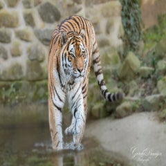 dsc_4417-3-standard.jpg