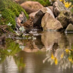 dsc_4624-3-standard.jpg