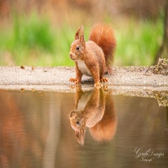 dsc_4706-3-standard.jpg