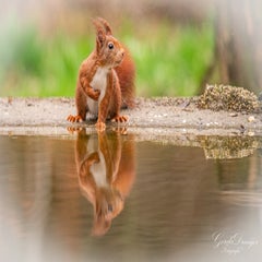 dsc_4709-3-standard.jpg
