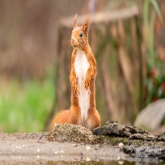 dsc_4715-3-standard.jpg