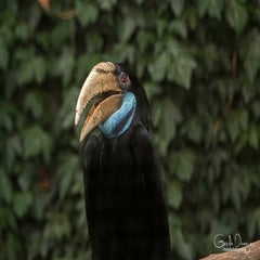 dsc_77272.jpg