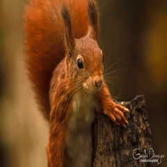 dsc_83253.jpg