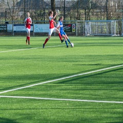 dsc_99392.jpg