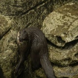 DSC_35232.jpg