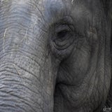DSCN3253.jpg