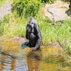 dsc_11263.jpg