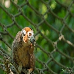 dsc_09123.jpg