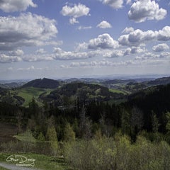 dsc_06242.jpg