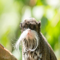 dsc_07263.jpg