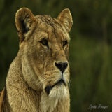 DSC_35882.jpg