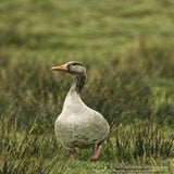 DSC_68912.jpg