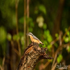 dsc_60552.jpg