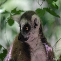 dsc_09653.jpg