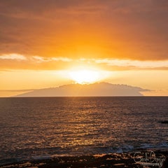 dsc_49653.jpg