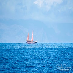 dsc_48232.jpg