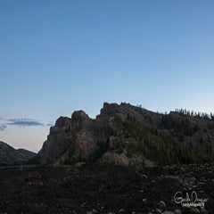 dsc_45593.jpg