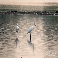 dsc_38182.jpg