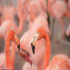 dsc_79763.jpg