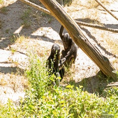 dsc_07552.jpg