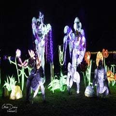 dsc_91412.jpg