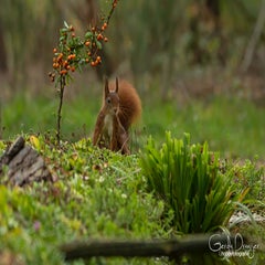 dsc_88263.jpg