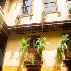 dsc_51532.jpg