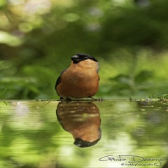 dsc_11542.jpg