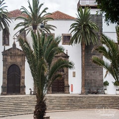 dsc_52452-1.jpg