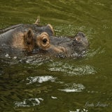 DSC_35482.jpg